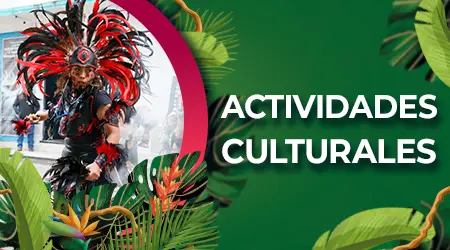 Actividades Culturales banner